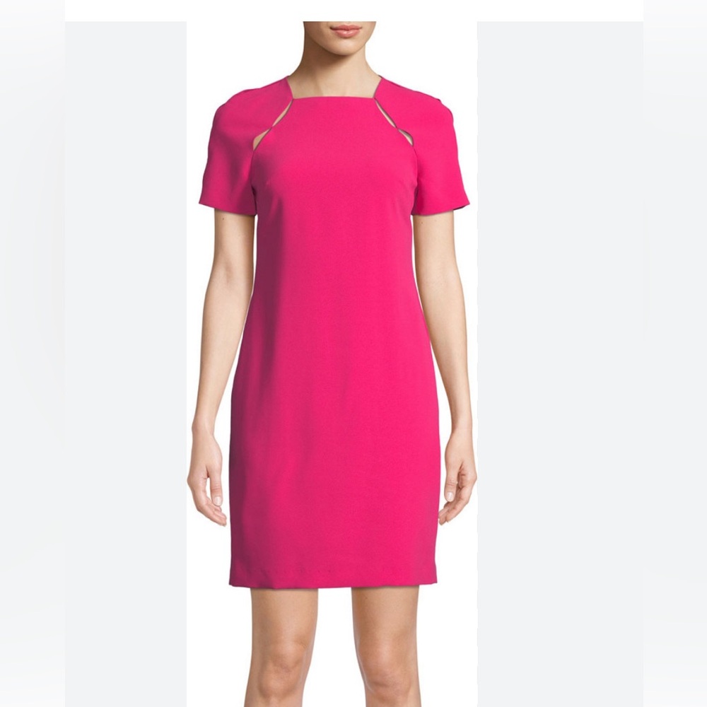 Alice and Olivia Fuschia dress